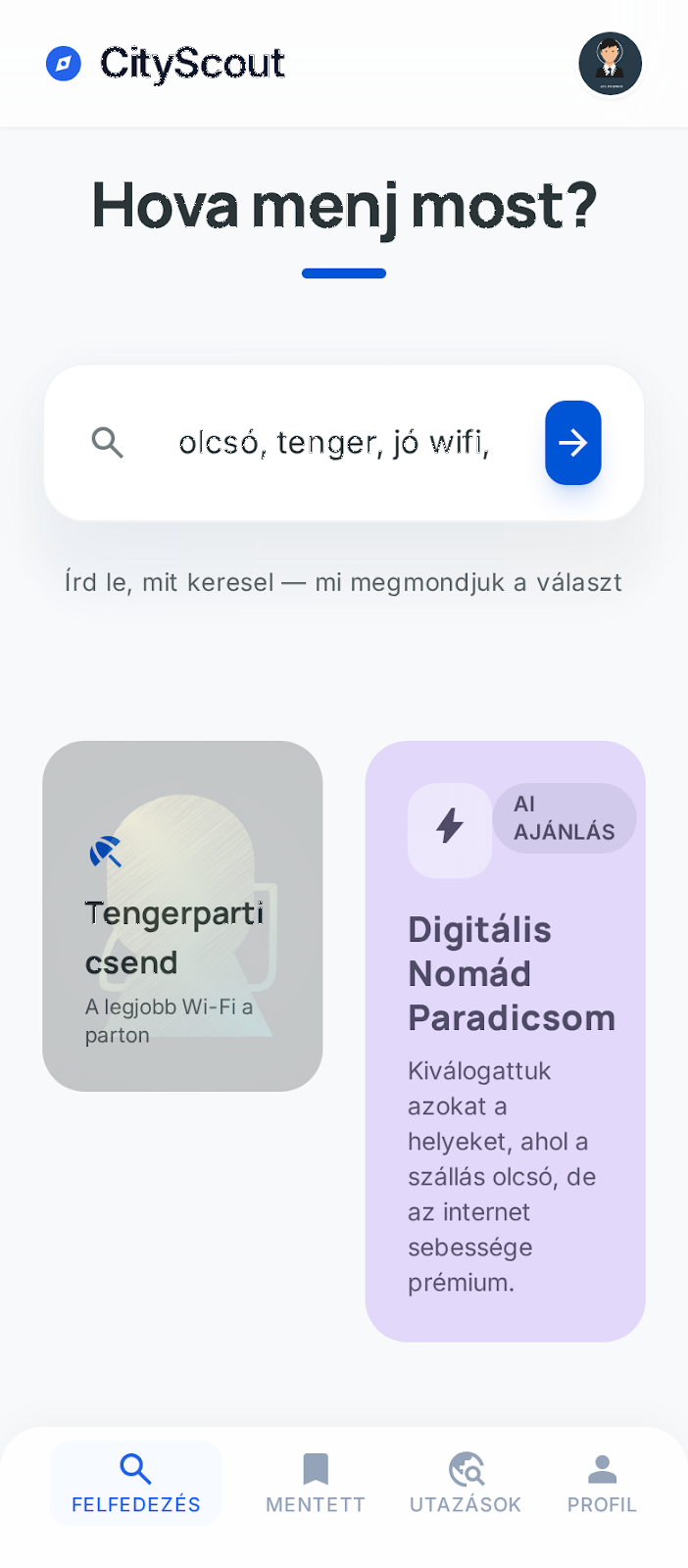 CityScout – input képernyő